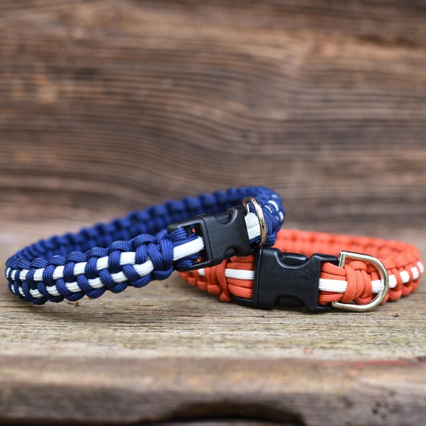 checkerboard dog collar