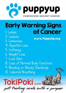 PuppyUp Toki Poki Pet Trading Card